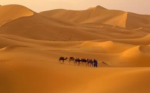 关于撒哈拉沙漠唯美句子大全 撒哈拉沙漠图片唯美